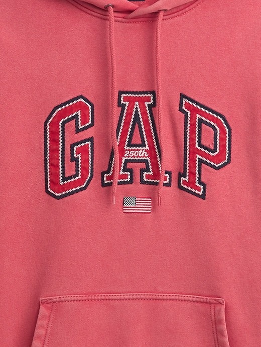 VintageSoft Oversized Americana Logo Hoodie